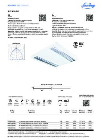 View pdf