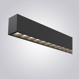 NT55/OPT1
